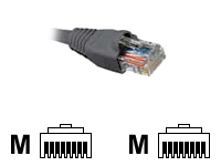 Nexxt - Cable de interconexión - RJ
