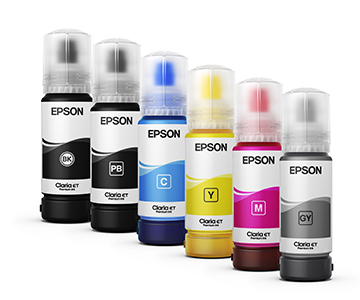 Epson T555 - Gris foto - original