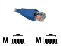 Nexxt - Cable de interconexión - RJ