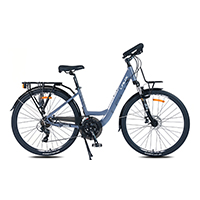 Bicicleta De Ciudad Laux Kaixuan 5.0 24V Rodado 29/700 26''