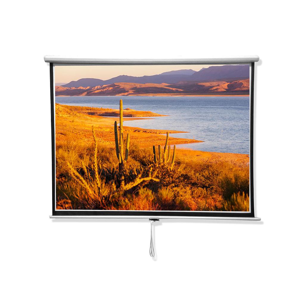 Pantalla Para Proyector Blanco Mate 84"