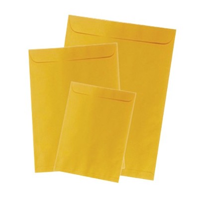 SOBRE CELUCAT/REVISTA/ORO/80GRS/22.9X32.4CMS/100UNI