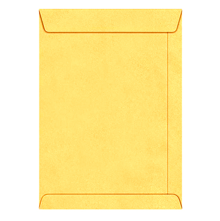 SOBRE CELUCAT/REVISTA/ORO/75G/250X353MM