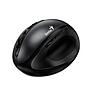 Mouse Genius Ergo 8300S negro